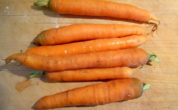 Number of carrots I have!)