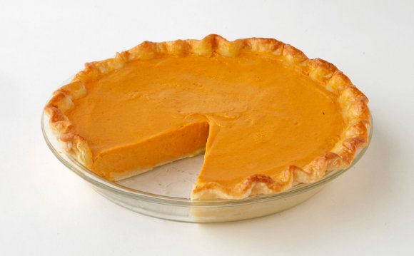 Pumpkin Pie Recipe