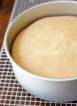 Bake the sponge-cake