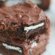 Chocolate Gooey Butter Cake recipe