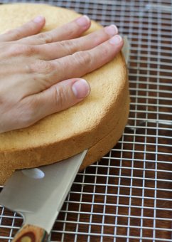 Slice the dessert into two levels cut the cake into two levels
